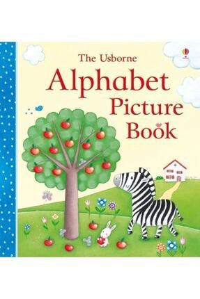 Alphabet Picture Book 9781409524106