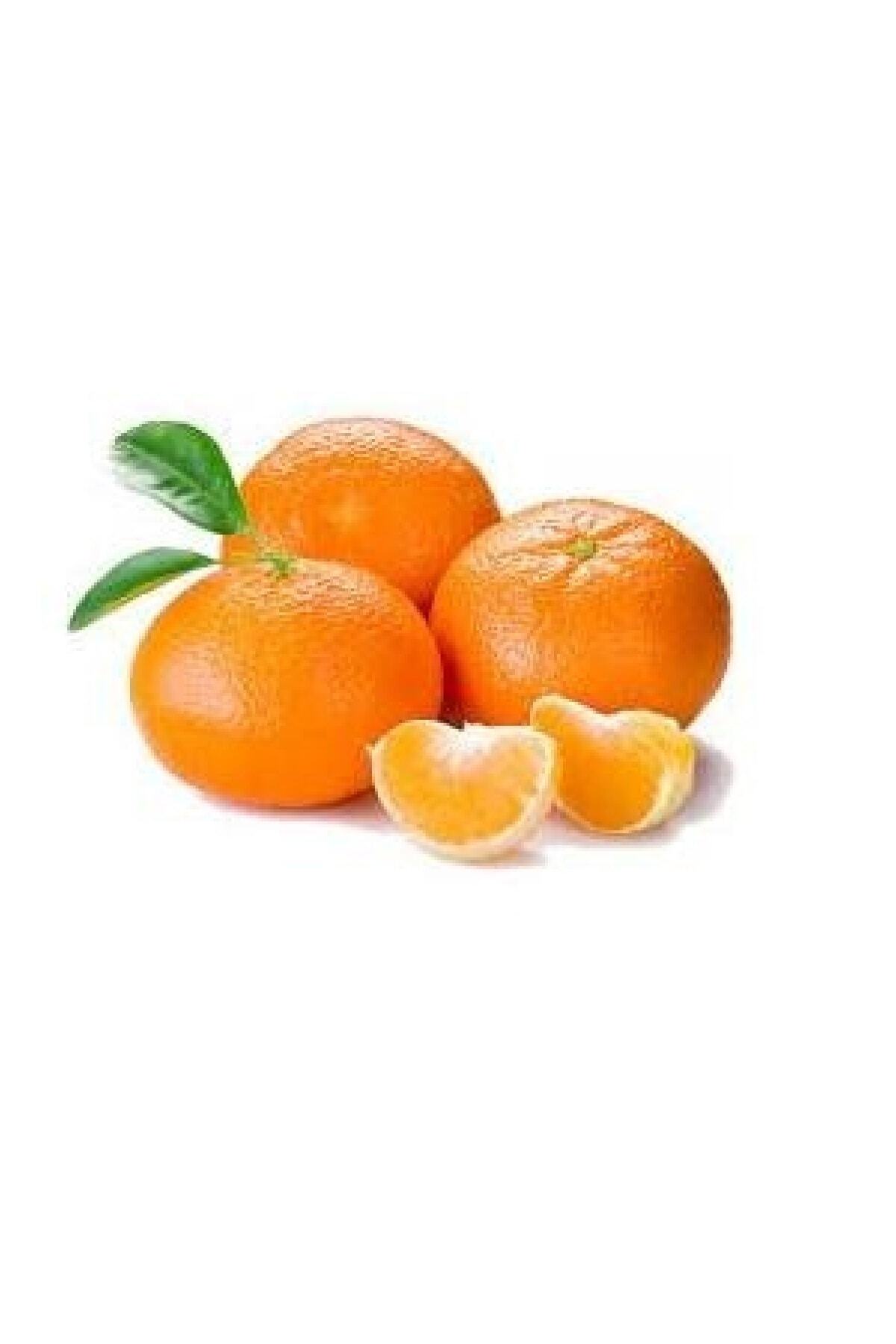 Mandalina Mersin 500 gr