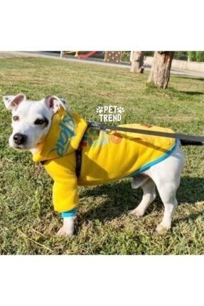 Sarı Hoodie Sweat Kedi Köpek Sweat Kedi Köpek Kıyafeti 21789