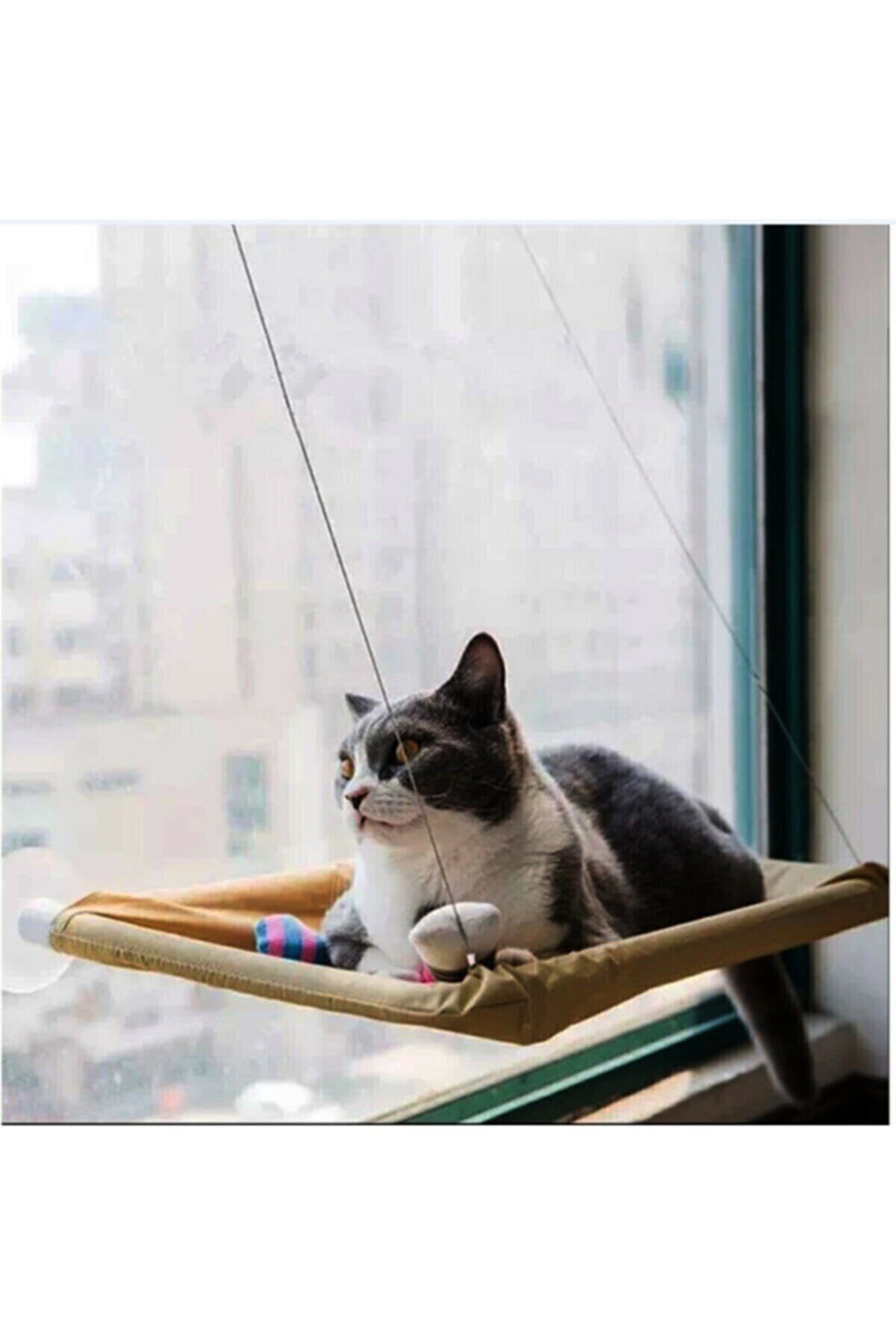 Neo Pet Market Pencereye Monte Kedi Yatağı