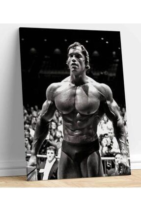 Arnold Schwarzenegger Vücut Geliştirme Motivasyon Tablo ugtcR191