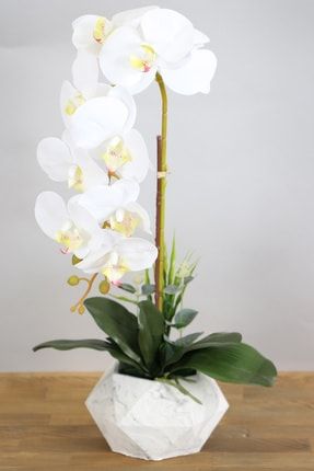 Beton Saksıda Yapay Baskılı Islak Orkide 55 Cm Beyaz-fıstık YPCCK-FKYT-825