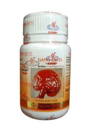 Dxn Gl90 Ganocelium Kirmizi Reishi Mantar Ganoderma Kapsul Trendyol