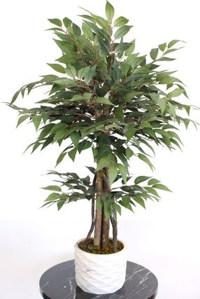 Yapay Bonsai Ağacı Ficus Ginseng 75 cm YPCCK-FKYT-98