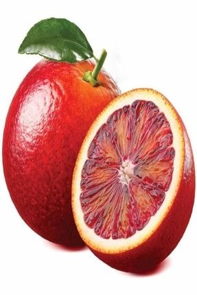 Içi Dışı Kırmızı Portakal Fidanı (blood Orange) Sınırlı Sayı IB-2020A31AA