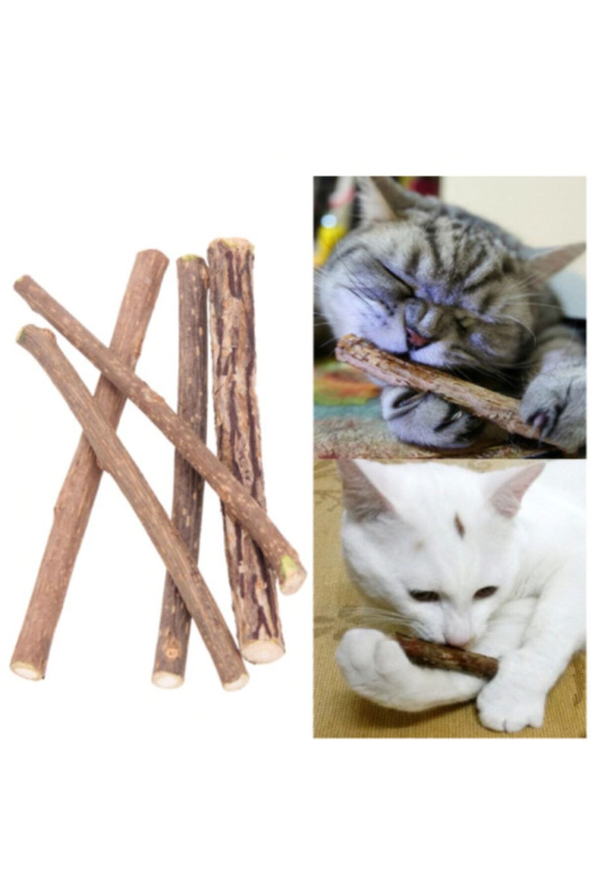 alanmemnun 10 adet kedi dogal dis