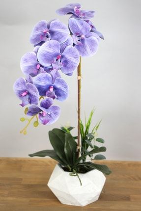 Beton Saksıda Yapay Baskılı Islak Orkide 55 Cm Lila YPCCK-FKYT-828