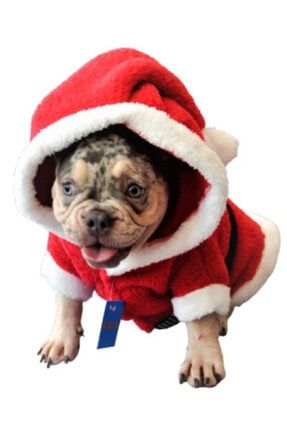 Amerikan Kumaş Şapkalı Noel Baba Taşlı Köpek Kıyafet 1365