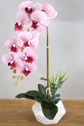 Beton Saksıda Yapay Baskılı Islak Orkide 55 Cm Pembe Çizgili YPCCK-FKYT-835