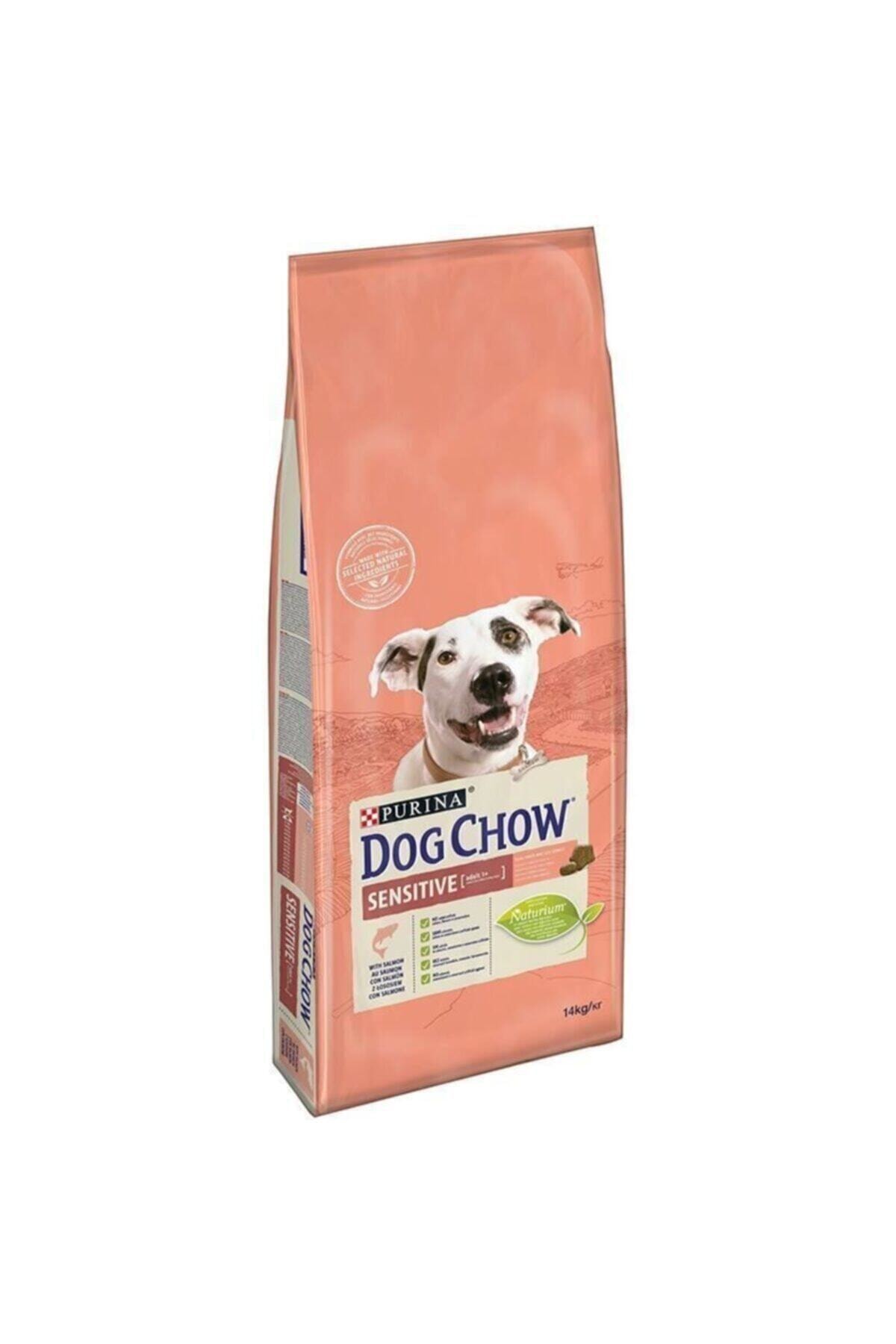 Dog Chow Adult Sensitive Somonlu Yetişkin Köpek Maması 14 Kg