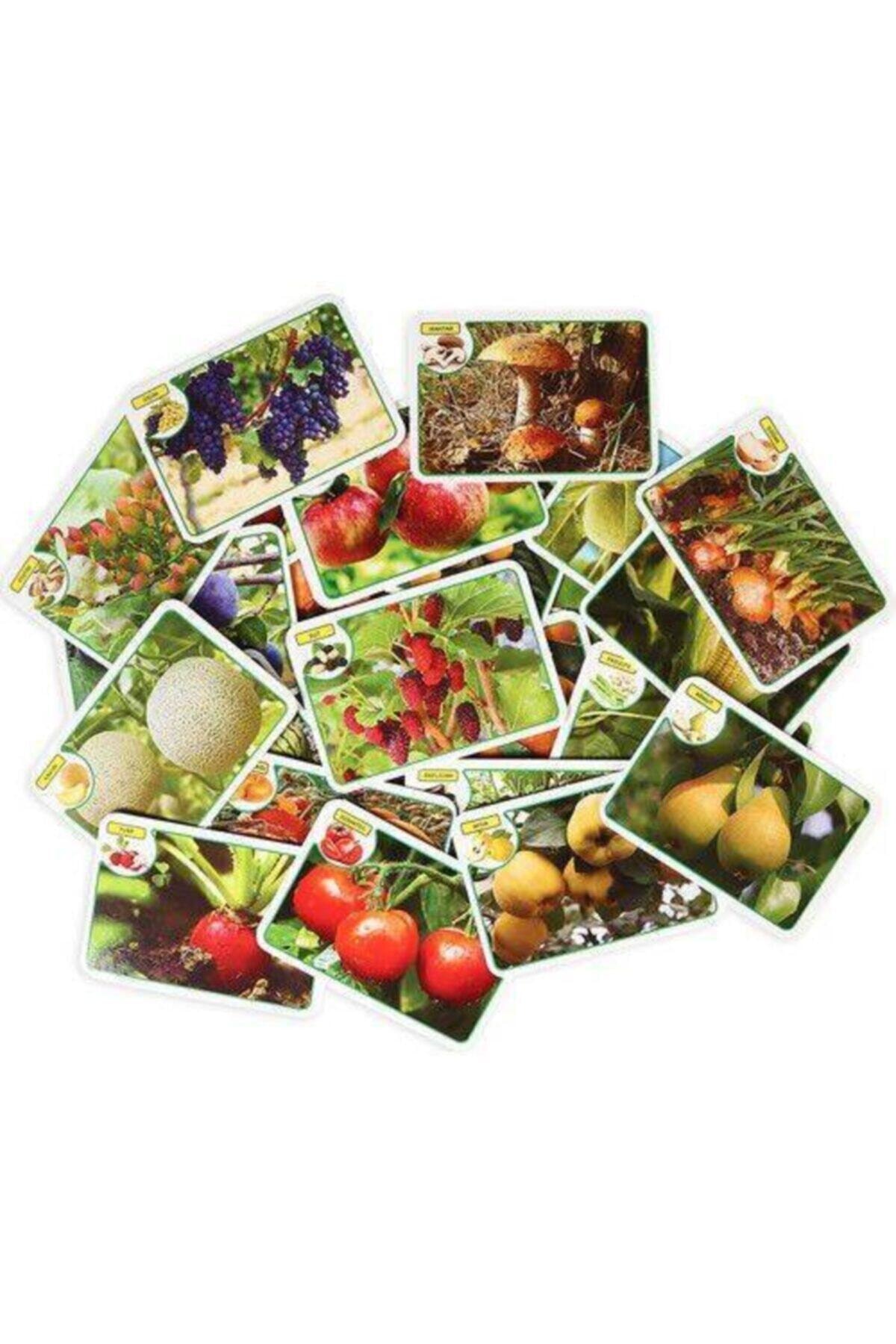 Dıy Toy/Taba Grup Diytoy 3'lü Flash Kart Seti (ilk 50 Sözcük Ilk 50 Hayvan Ve Ilk 50 Meyve Sebze) fotoğrafı 4 (önizleme)