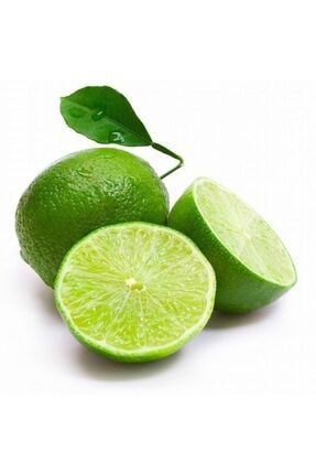2 Yaş Aşılı Tahiti Lime Yeşil Limon Fidanı, Torbada tahiti22