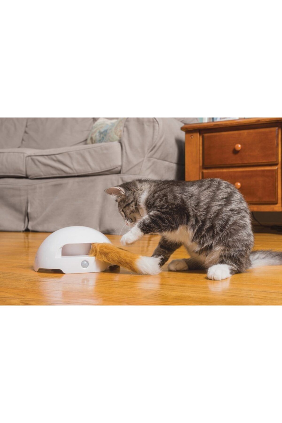 Pet Safe Frolicat Fox Den Interactive Oyuncak Fiyat Yorumlar Trendyol