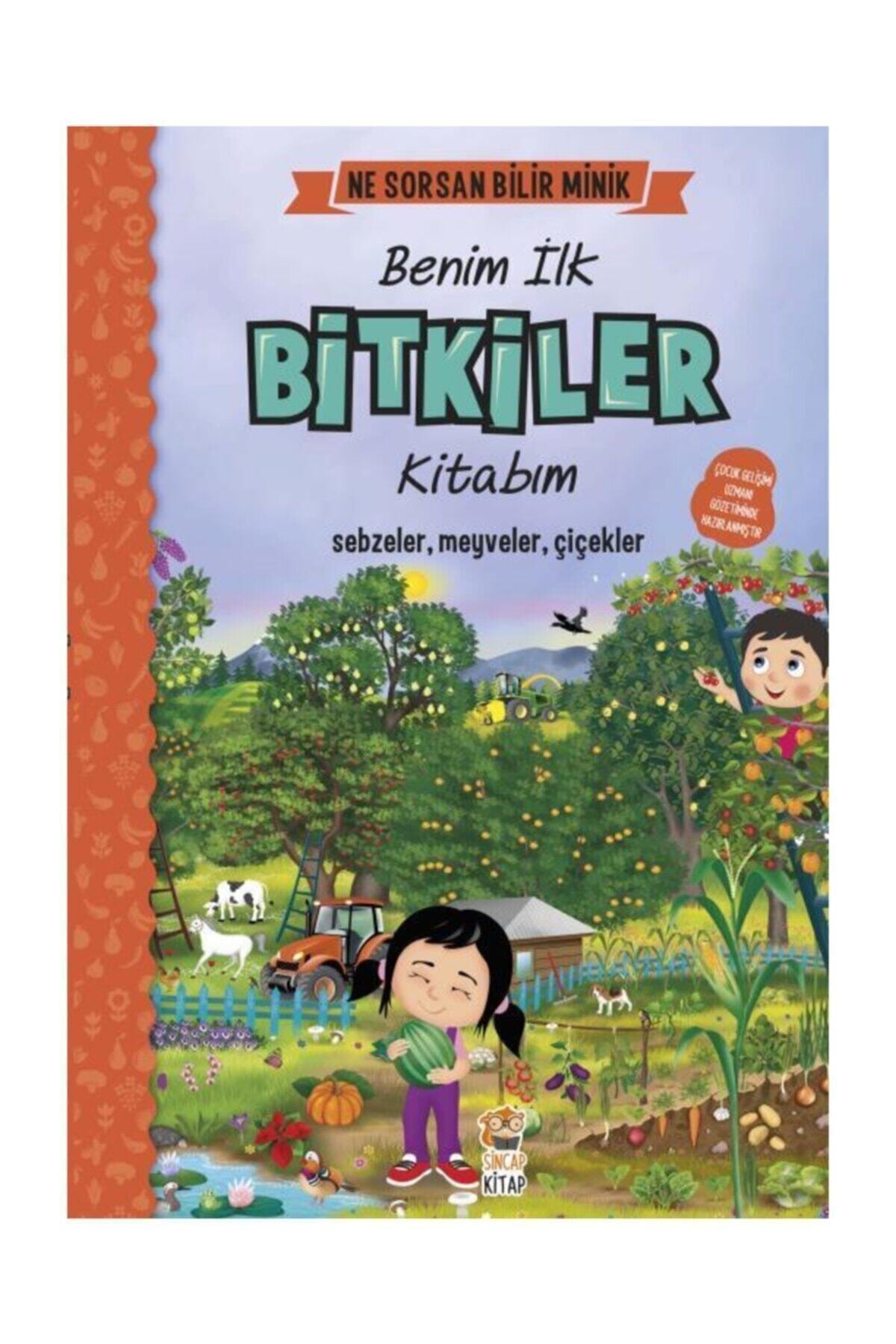 Sincap Kitap Ne Sorsan Bilir Minik Serisi Ilk Kitaplarım 4 Lü Set Okul Öncesi Ingilizce Destekli 2+ Yaş fotoğrafı 3 (önizleme)