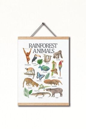 Montessori Ingilizce Eğitici Poster Yağmur Ormanı Hayvanları Pu Deri Çocuk Odası Tablosu AST-1X233