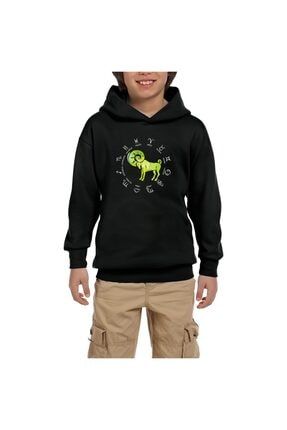 Oğlan Burcu Modern Siyah Çocuk Kapşonlu Sweatshirt ZP3643