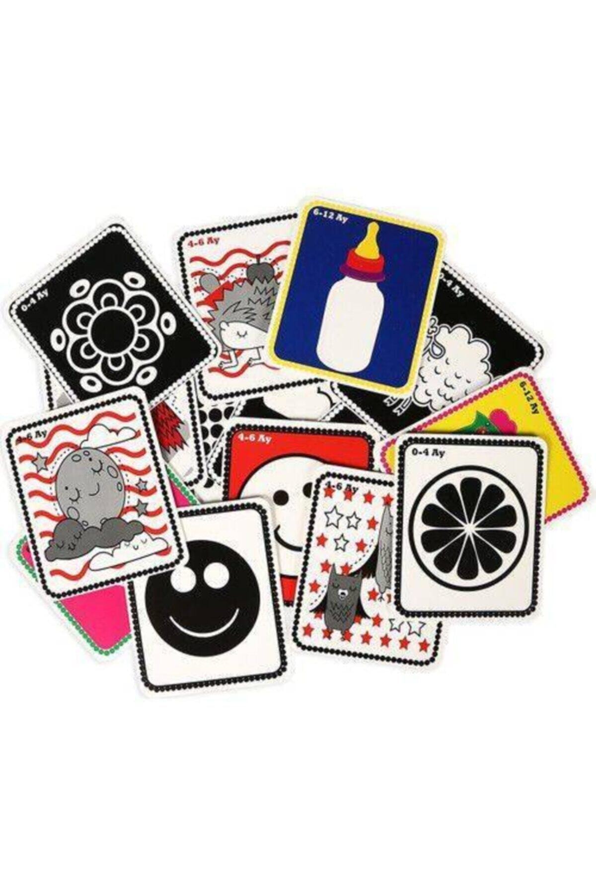 Dıy Toy/Taba Grup Diytoy 3'lü Flash Kart Seti (ilk 50 Sözcük Ilk 50 Hayvan Ve Ilk 50 Meyve Sebze) fotoğrafı 5 (önizleme)