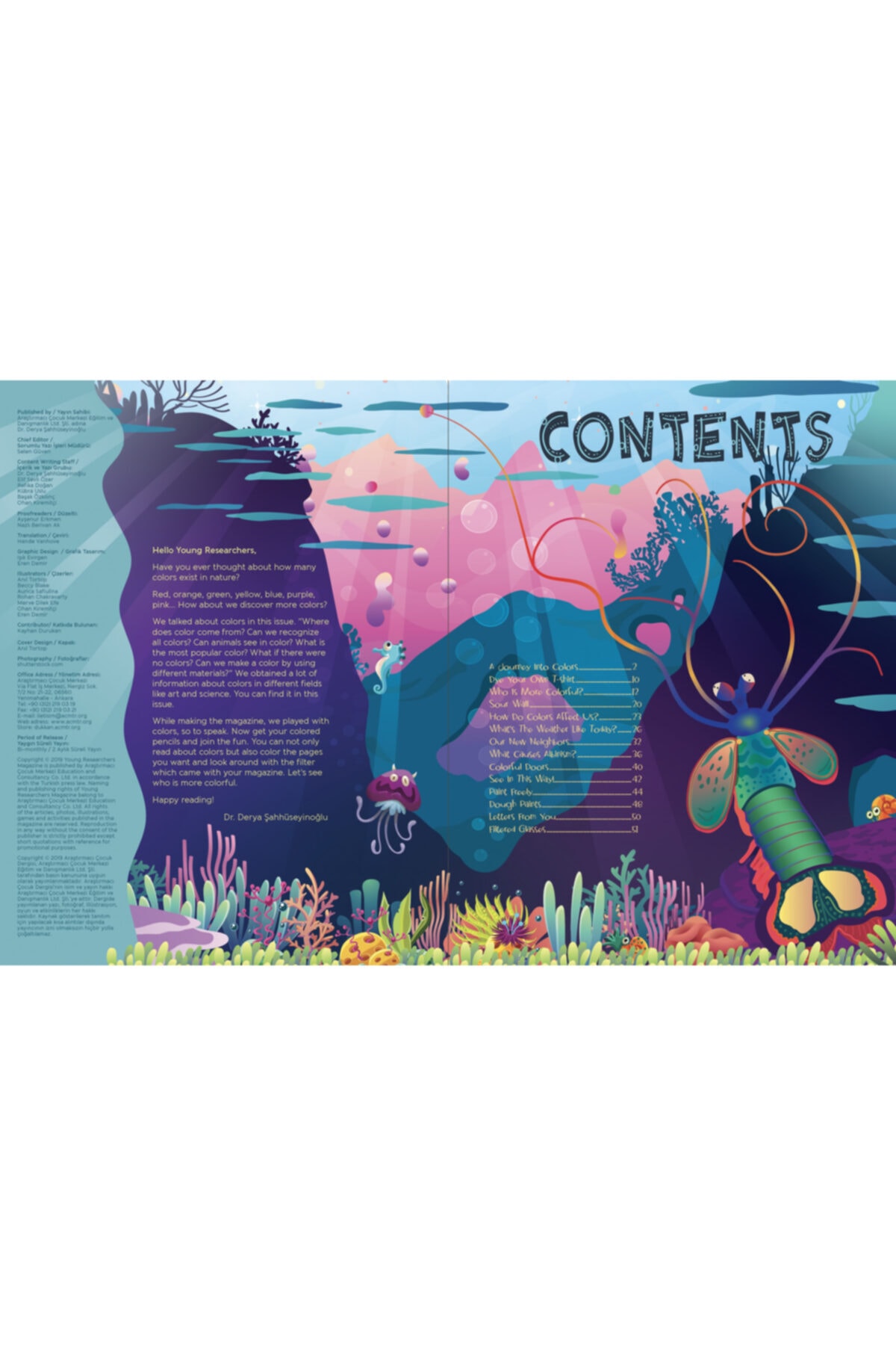 Issue 31 - Who Is More Colorful? 2