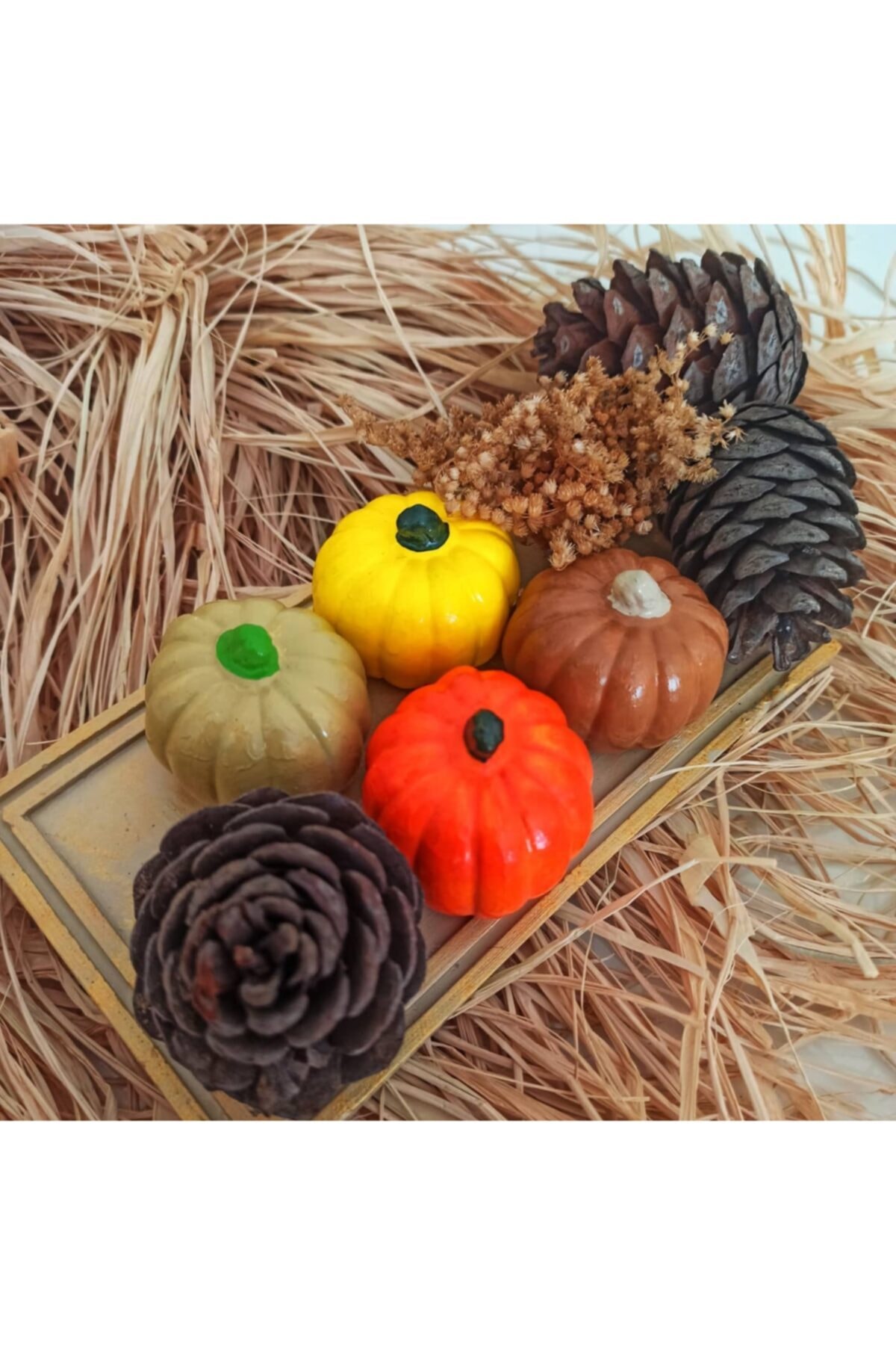 güzel kabak masaüstü duvar kağıdı