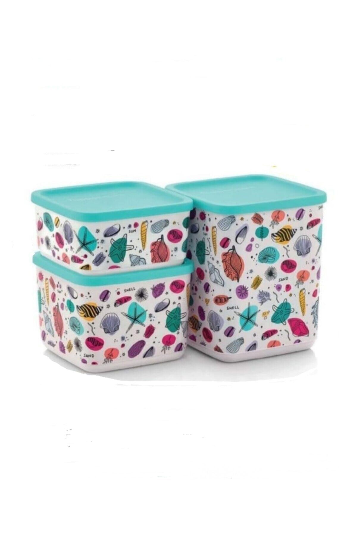 Lot de 3 boîtes tupperware 10.000