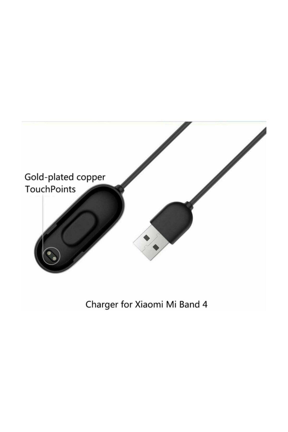 mini band 4