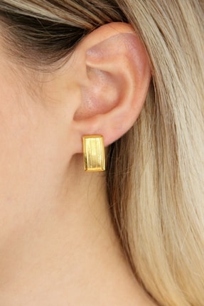 Argentum Concept Altın Kaplamalı 925 Ayar Gümüş Hasır Küpe - K088401