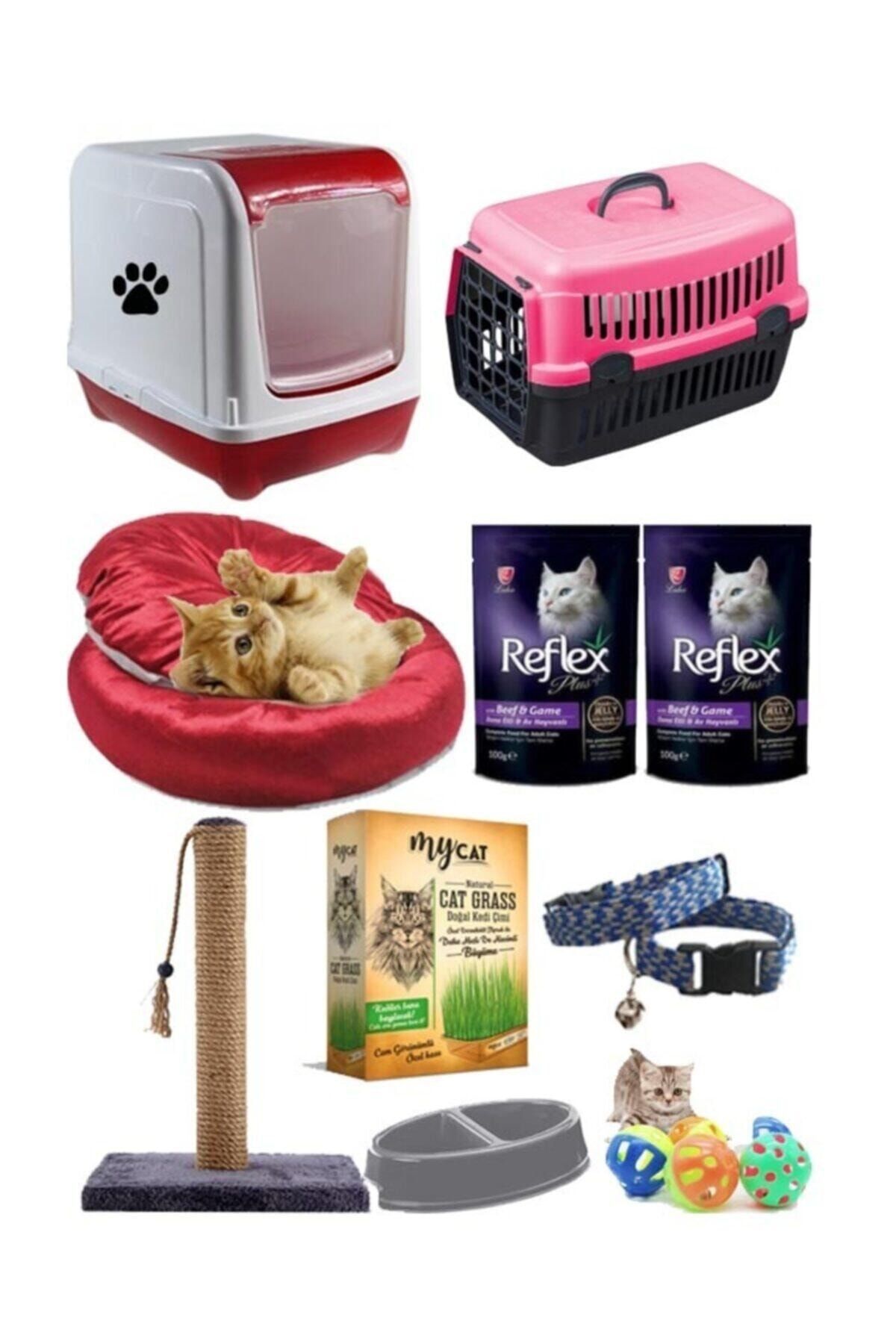Pet Style Kedi Baslangic Seti Fiyatlari En Ucuzu Akakce