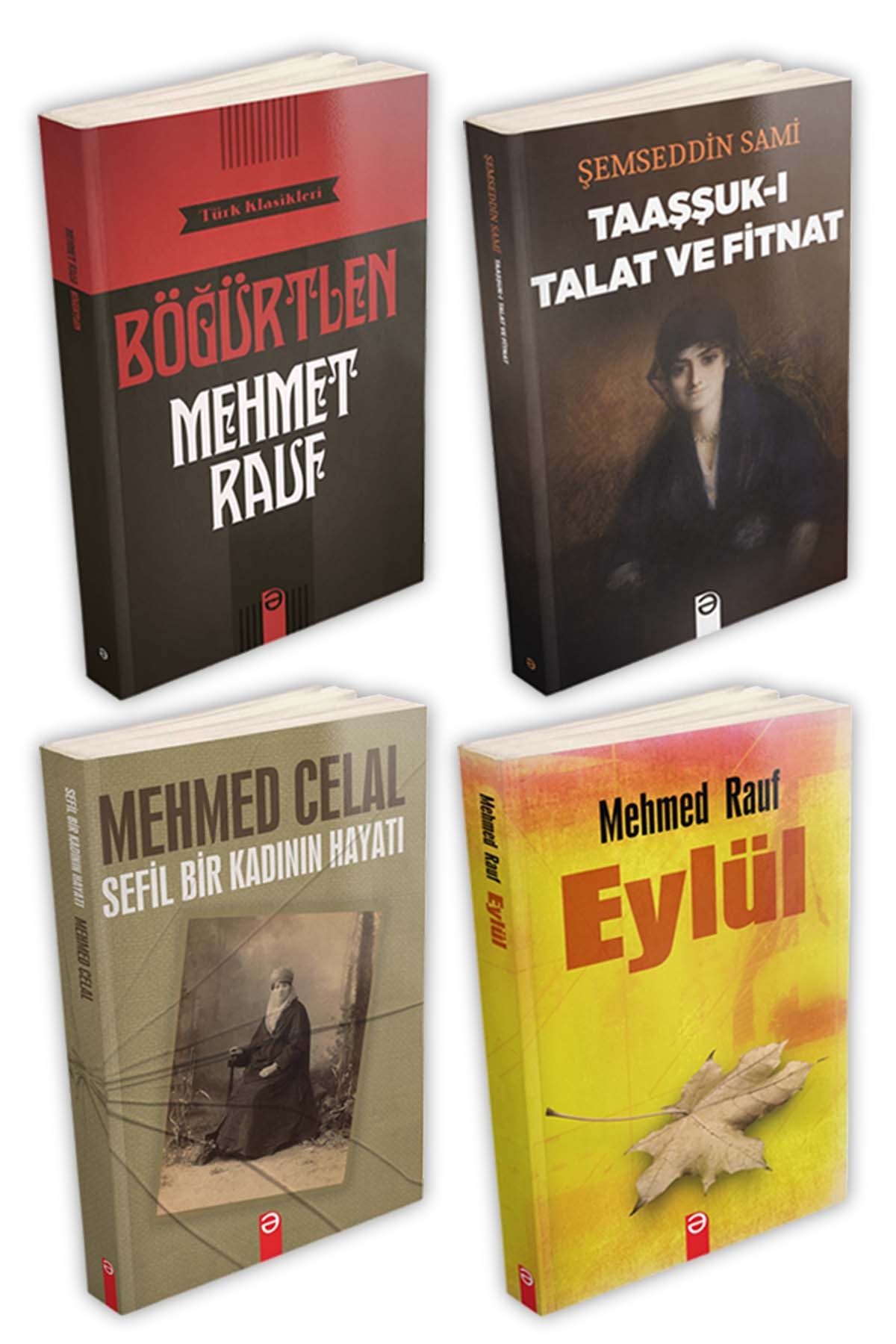 Türk Klasikleri Set 1 (4 Kitap)