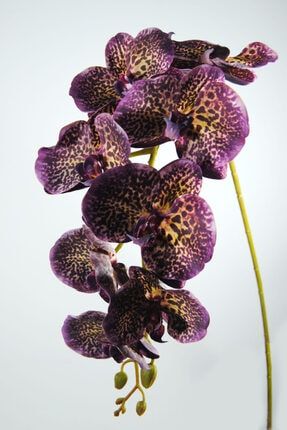 Yapay Çiçek Gerçek Dokulu Lux Mor Orkide Dalı LH-21-381