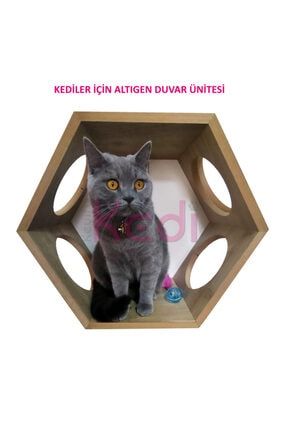 Kedi Oyun Evi - Tek Altıgen Duvar Rafı / Kedi Mobilyası KK-ALTIGEN-01