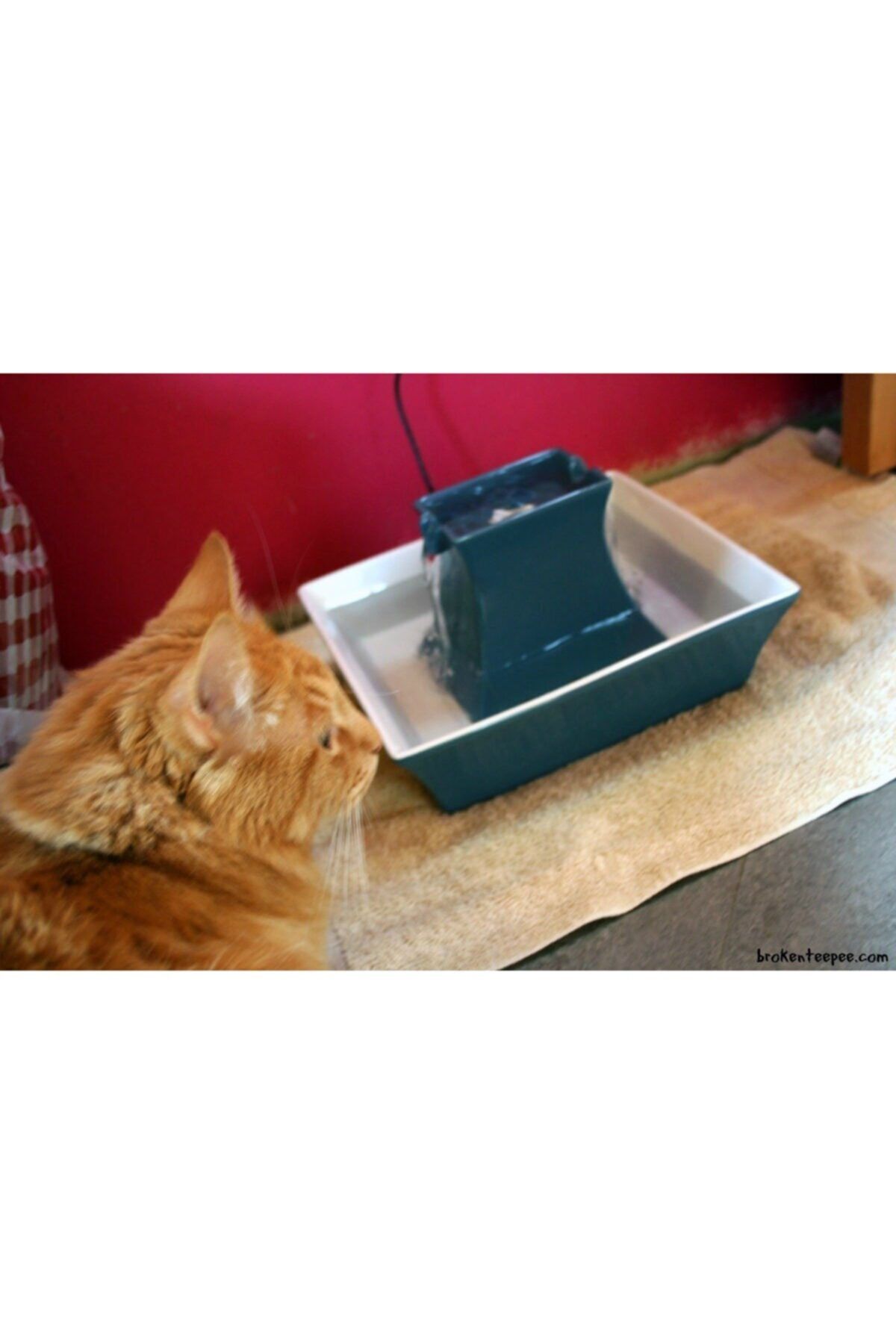 Petsafe drinkwell pagoda pet fountain top