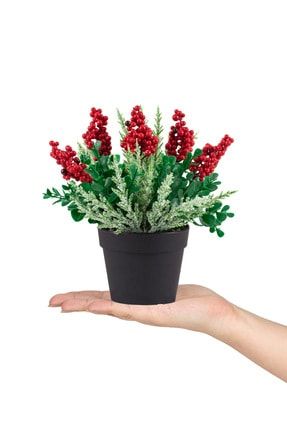 Mini Siyah Plastik Saksıda Karlı Kokinalı Yapay Yılbaşı Çiçeği SIYAHKARLIKOKINA-CCKMSN