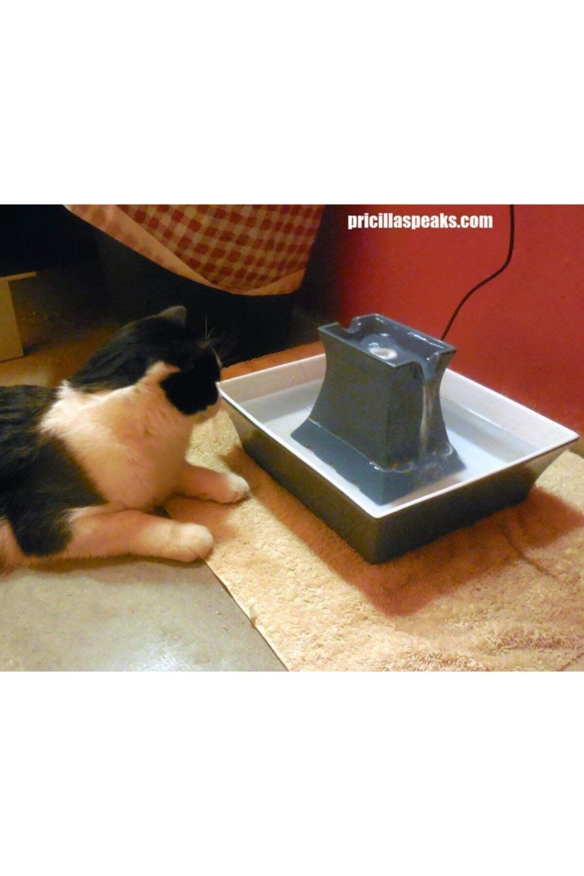 Pet Safe Drinkwell Pagoda Seramik Mavi Su P nar Fiyat Yorumlar