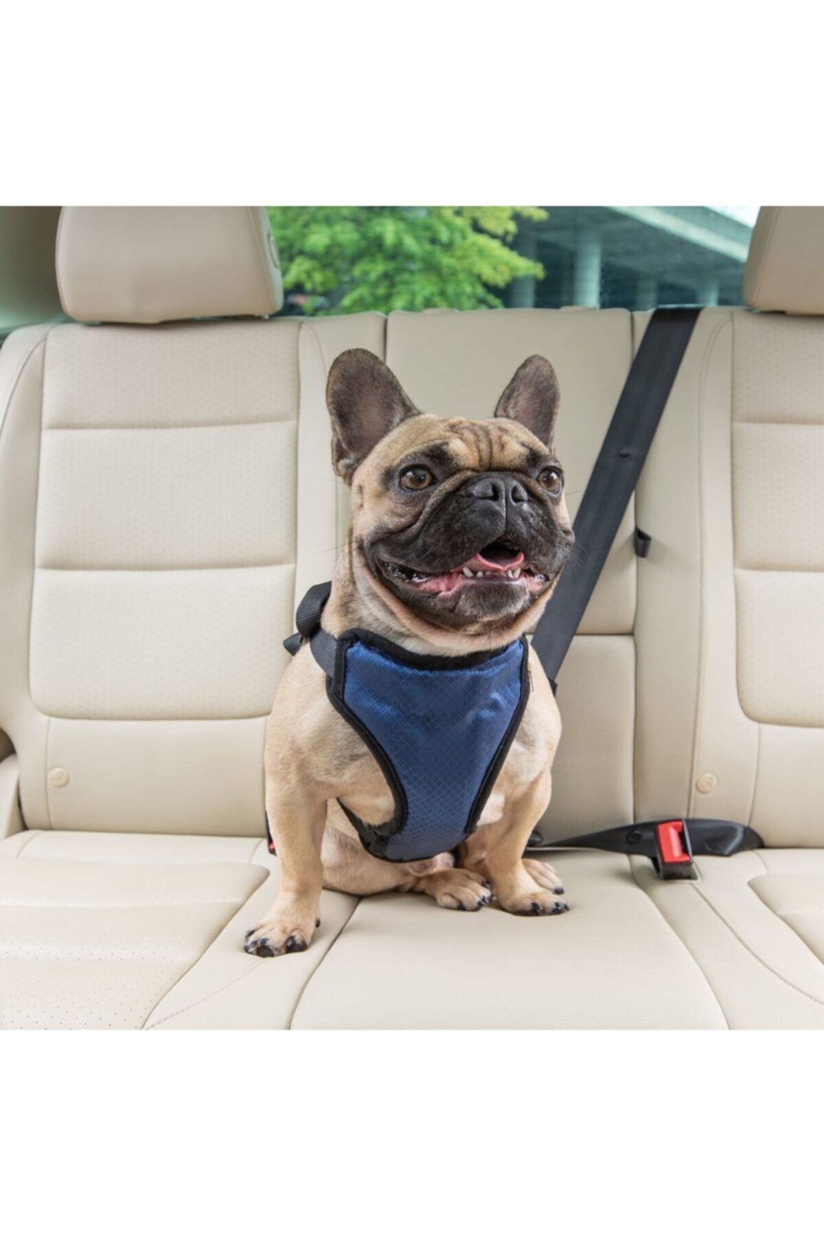 PetSafe-Solvit Deluxe Car Seat Belt Medium 62405 2