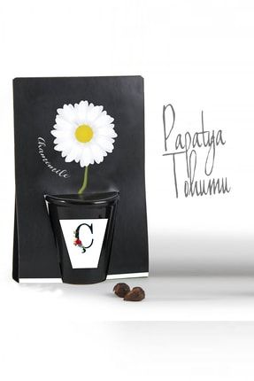 papatya tohumu 300 adet