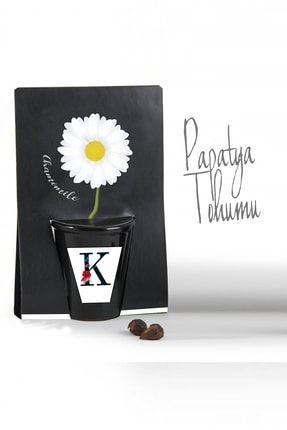 papatya tohumu 300 adet