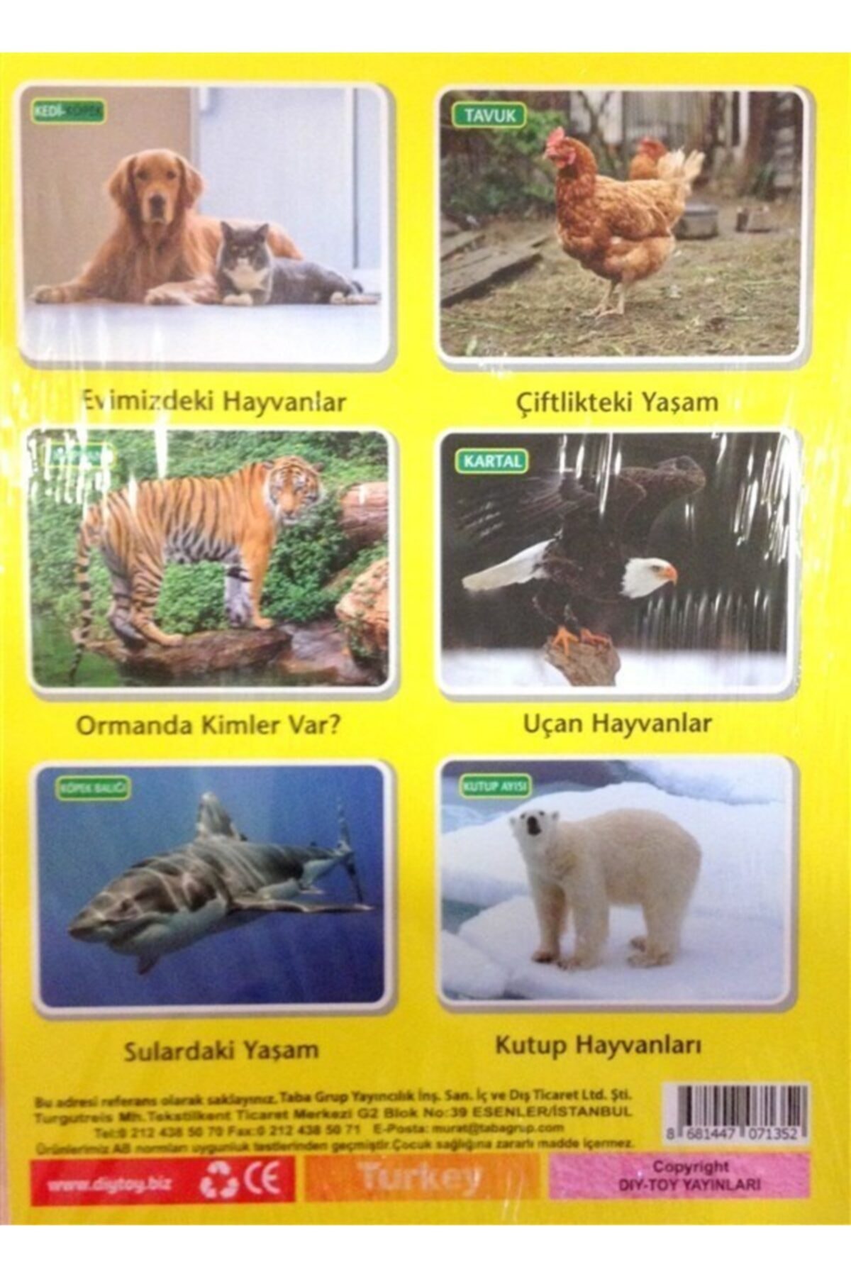 obenim Diytoy Ilk 50 Hayvan Flash Kartları fotoğrafı 2 (önizleme)