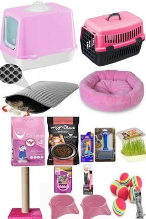 Pet Style Kedi Baslangic 15 Li Paket Trendyol
