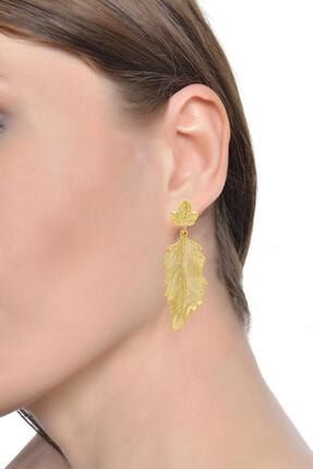 Kadın Altın Renk Kaplama Yaprak Stilizesi Çivili Küpe LBKDNKP8682712000268