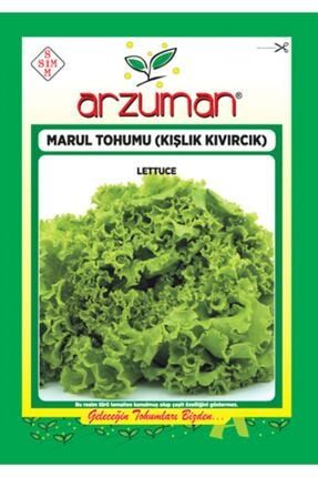 Marul Tohumu Kışlık Kıvırcık BRKTTRMTHM0048