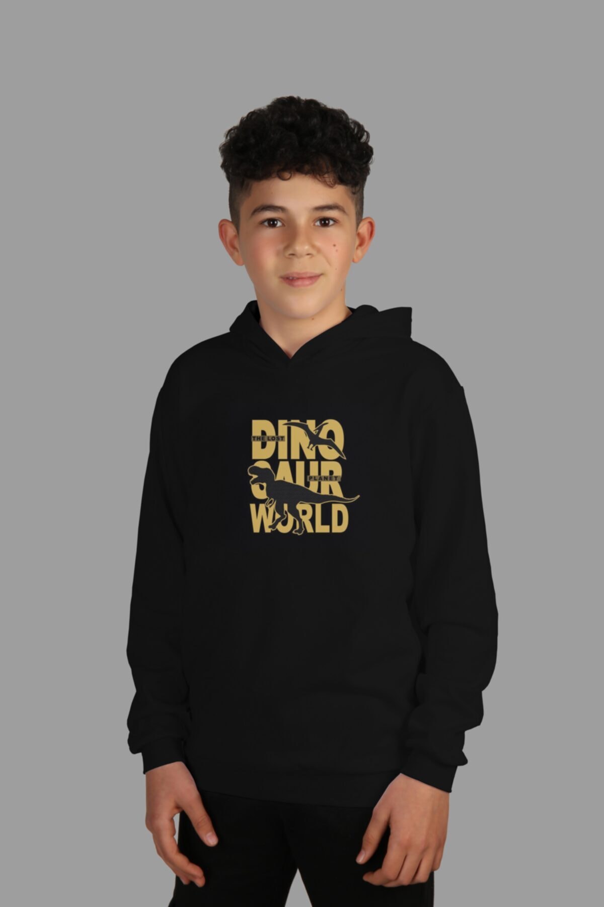 سویشرت  RFÇS098