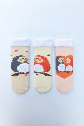 3'lü Papağan Desenli Kaydırmaz Havlu Çocuk Çorabı 212121