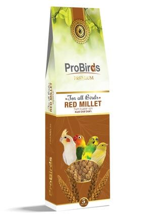 Probirds Premium 281016 Kurutulmuş Doğal Kızıl Dal Darı