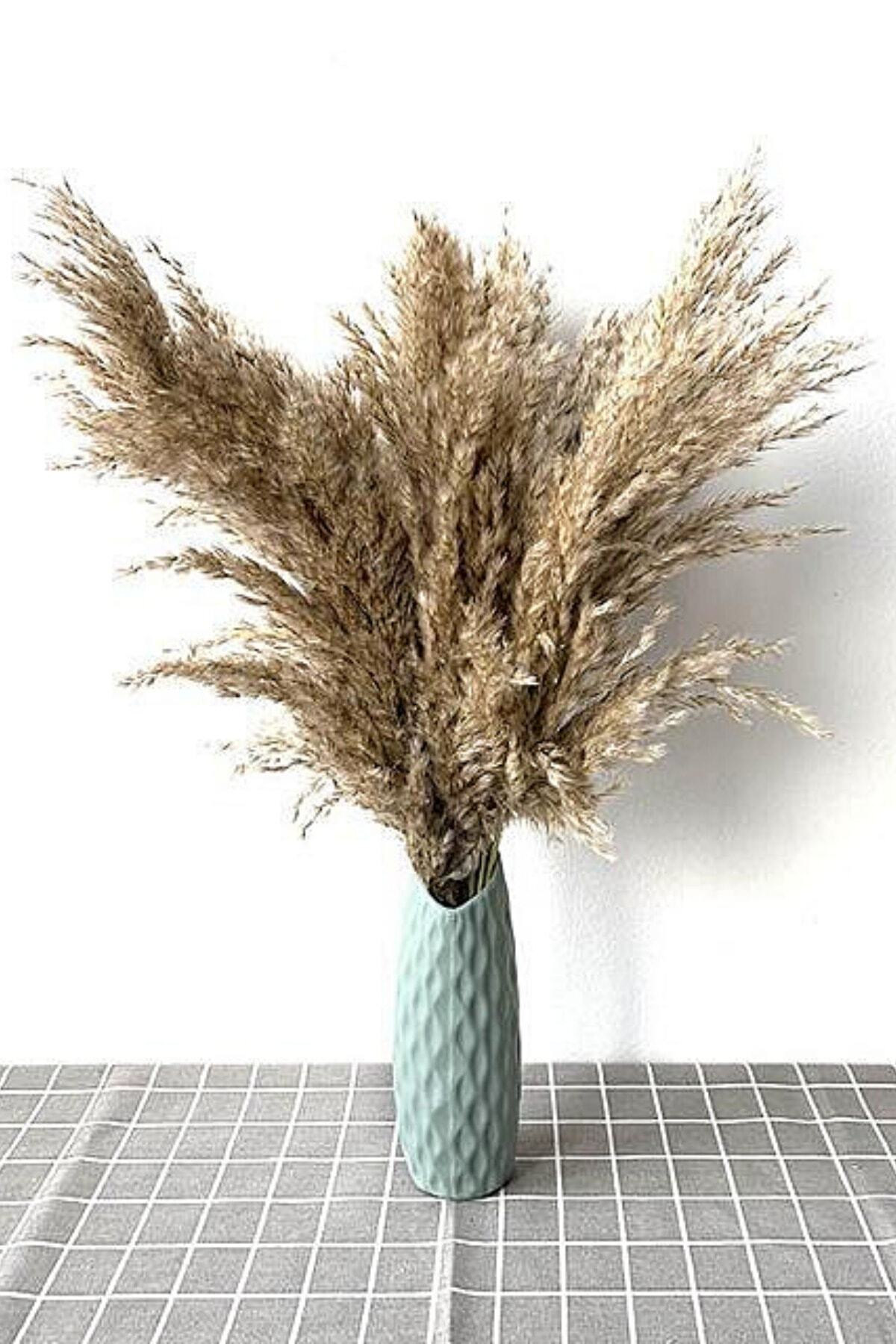 Ürün Detay Resmi Ürün Detay Resmi