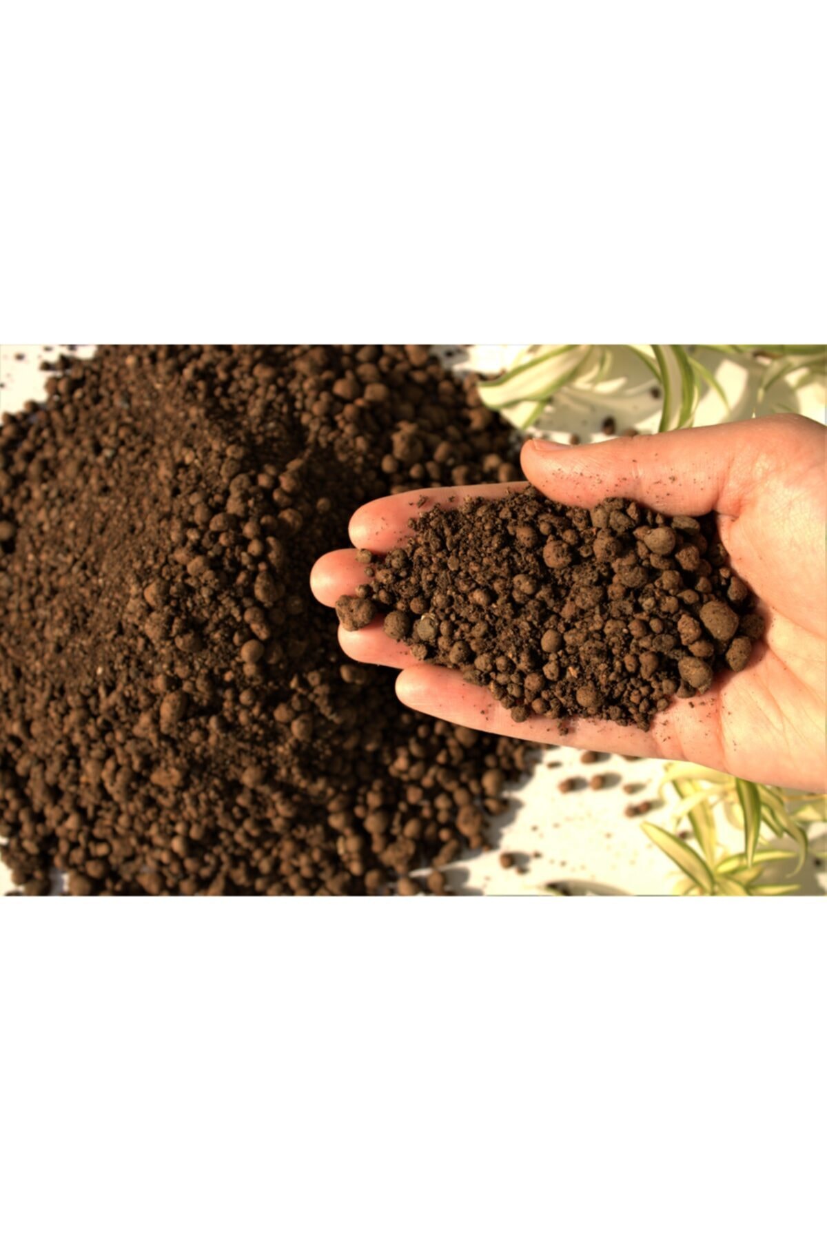 Kil Bilyesi 2 Lt (0-3 Mm) 1 Adet Süs Bitkileri Için Hidroponik Toprak Lecat Hidrokültür Toprağı 4