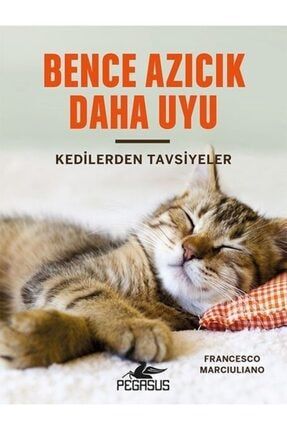 Kirmizi Kedi Yayinevi Kedili Ajanda 2021 Edebiyat Ajandasi Trendyol