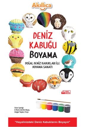 akillica tas boyama seti stone