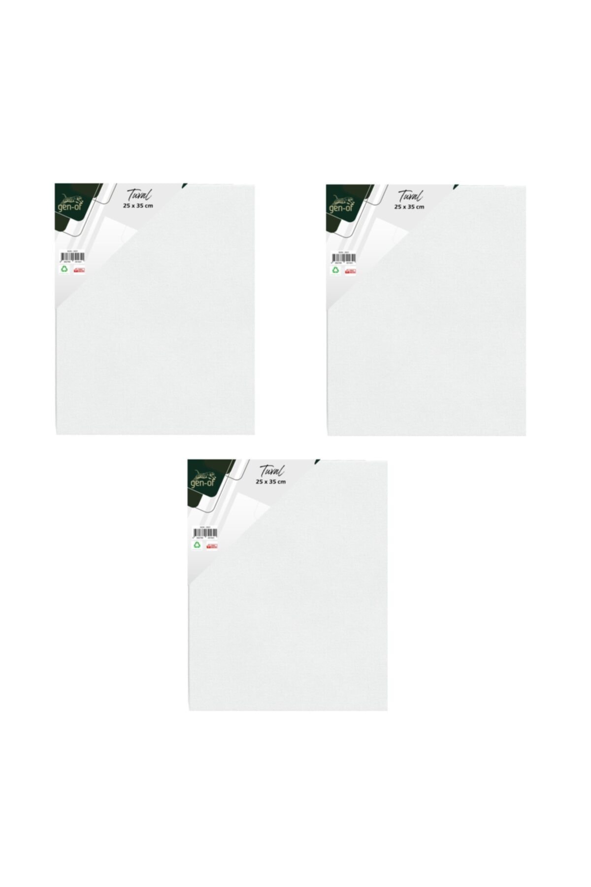 Gen-Of Tuval 25x35 cm 3 Adet