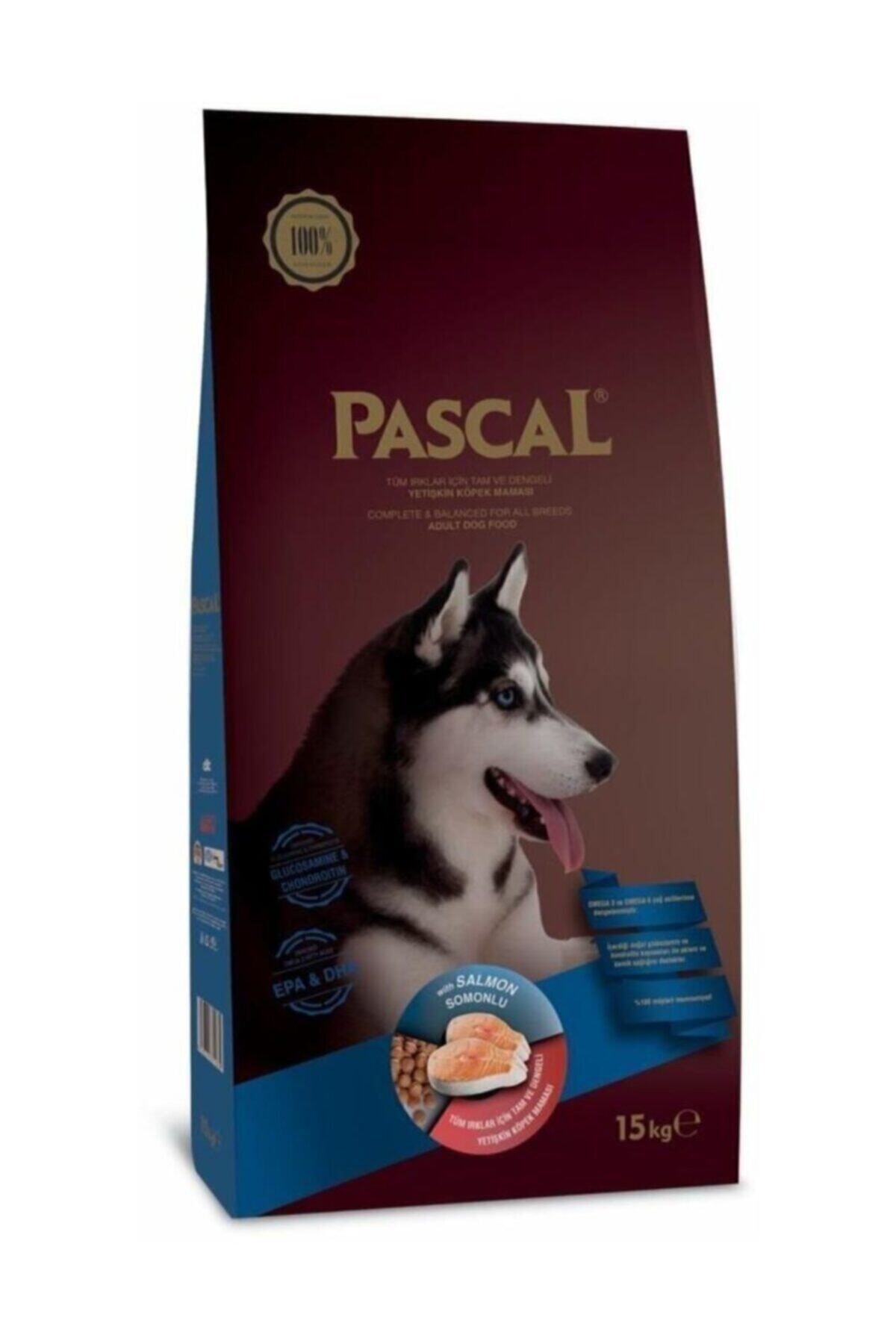 Pascal Somonlu Yetiskin Kopek Mamasi 15 Kg Fiyati Yorumlari Trendyol Pascal Somonlu Yetiskin Kopek Mamasi 15 Kg Fiyati Yorumlari Trendyol