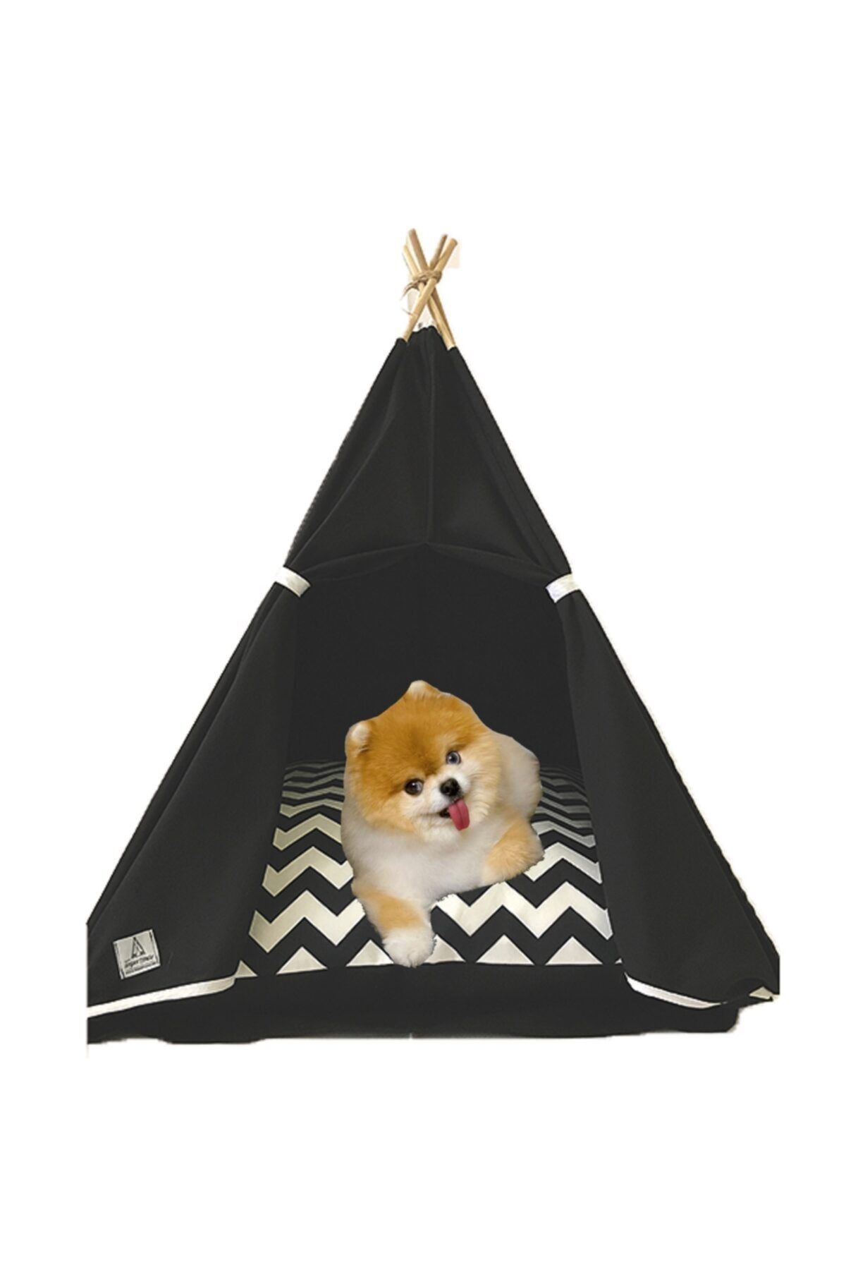 Pet shop dog beds clearance